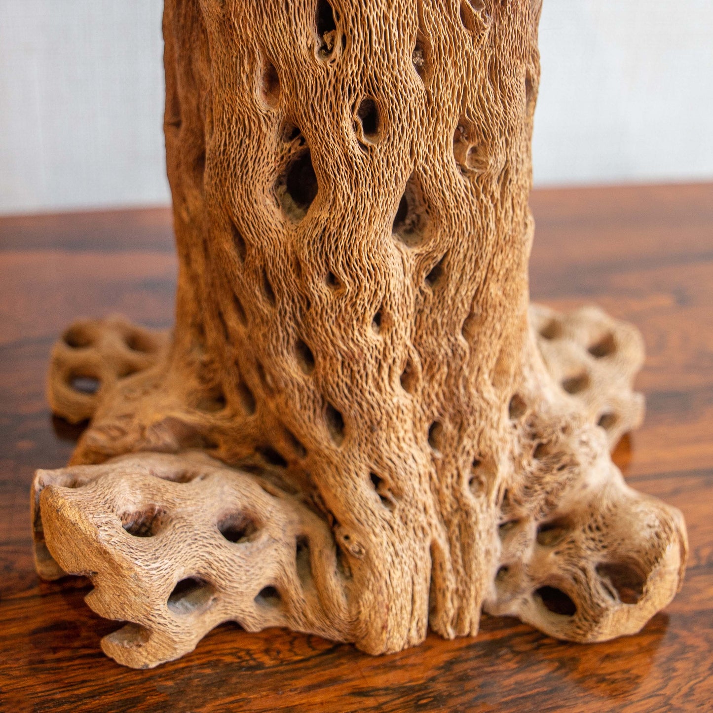 CHOLLA WOOD LAMPS