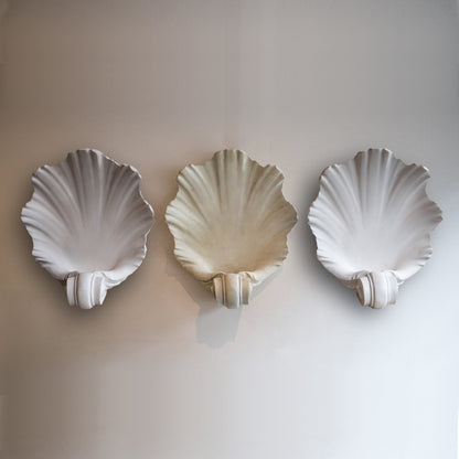 Shell Plaster Wall Light