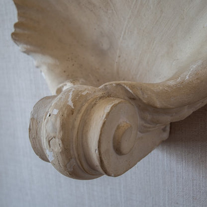 Shell Plaster Wall Light