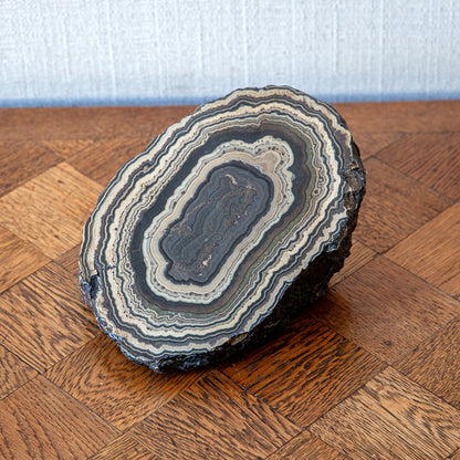 Large Stromatolite