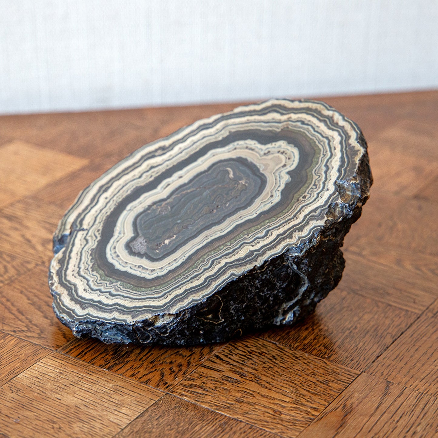 Large Stromatolite