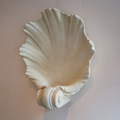 Shell Plaster Wall Light