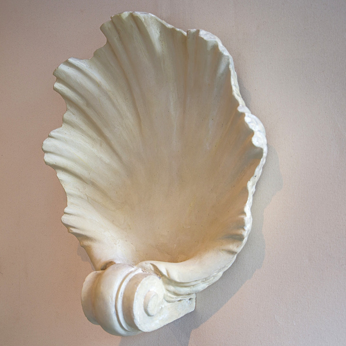 Shell Plaster Wall Light – James McWhirter Antiques