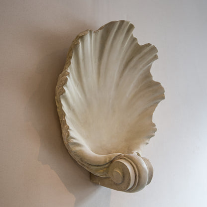 Shell Plaster Wall Light