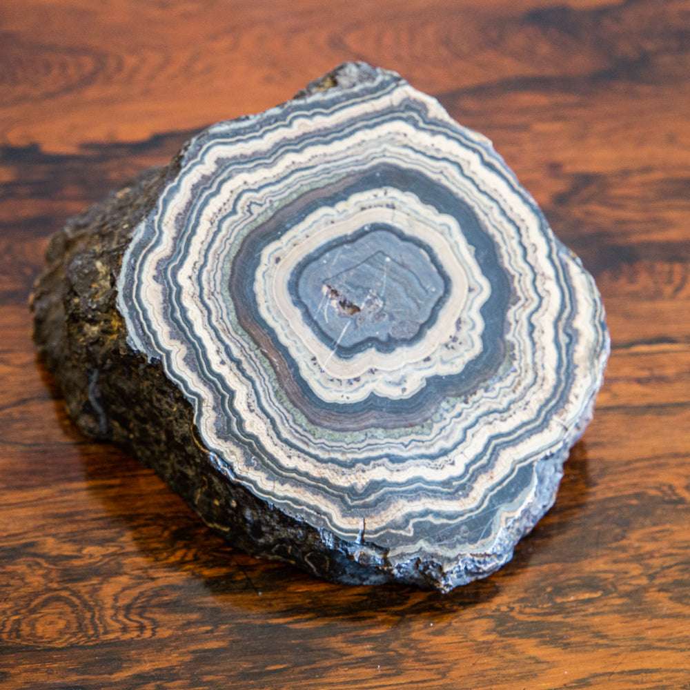 A Large Stromatolite with Polished Surface