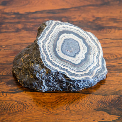 Large Stromatolite